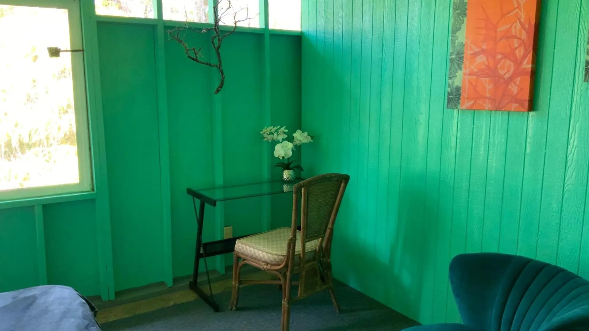 Simply Convenient Tropical Country Studio Mountain View États-Unis