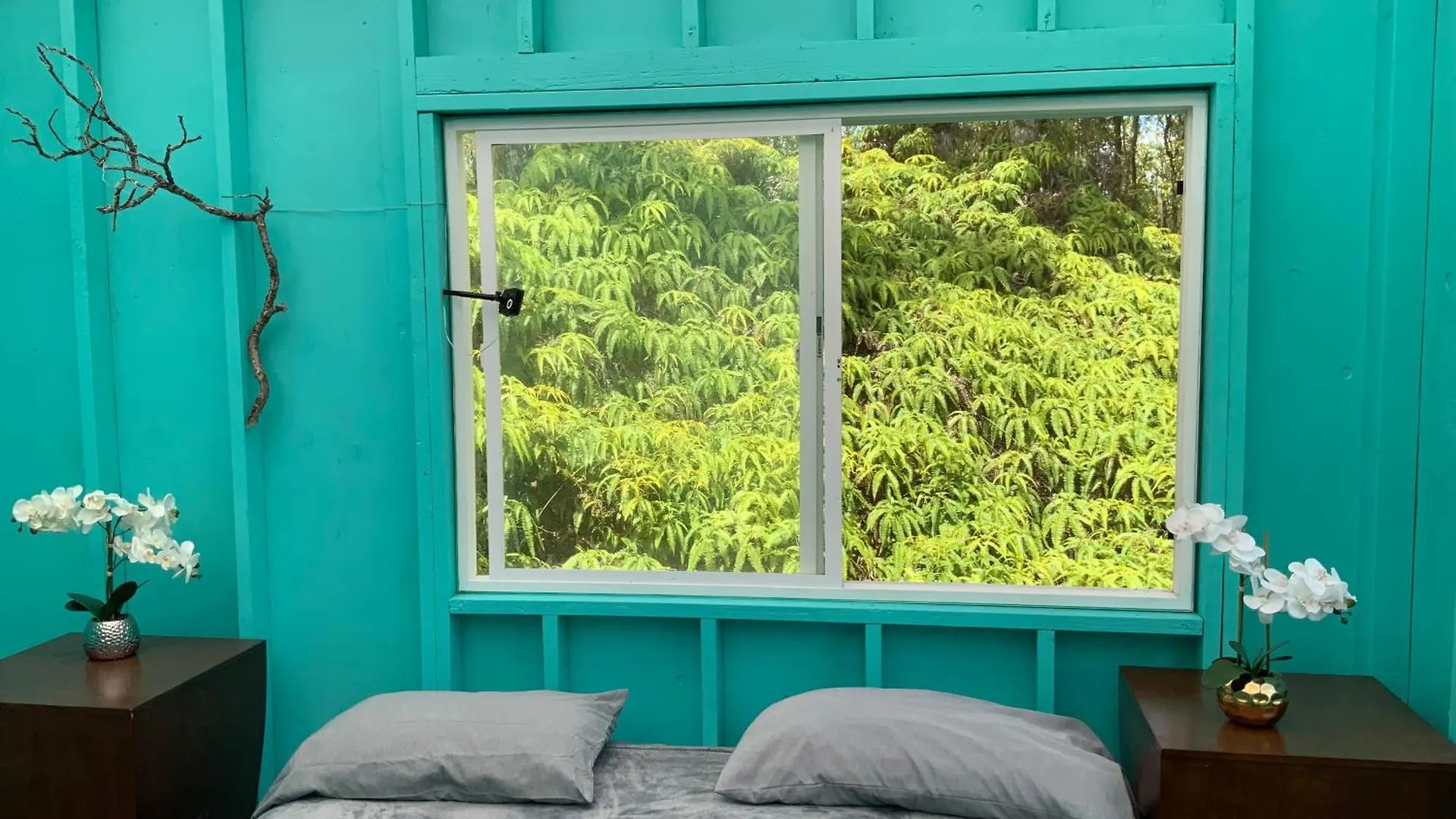 Simply Convenient Tropical Country Studio Mountain View 0*,
