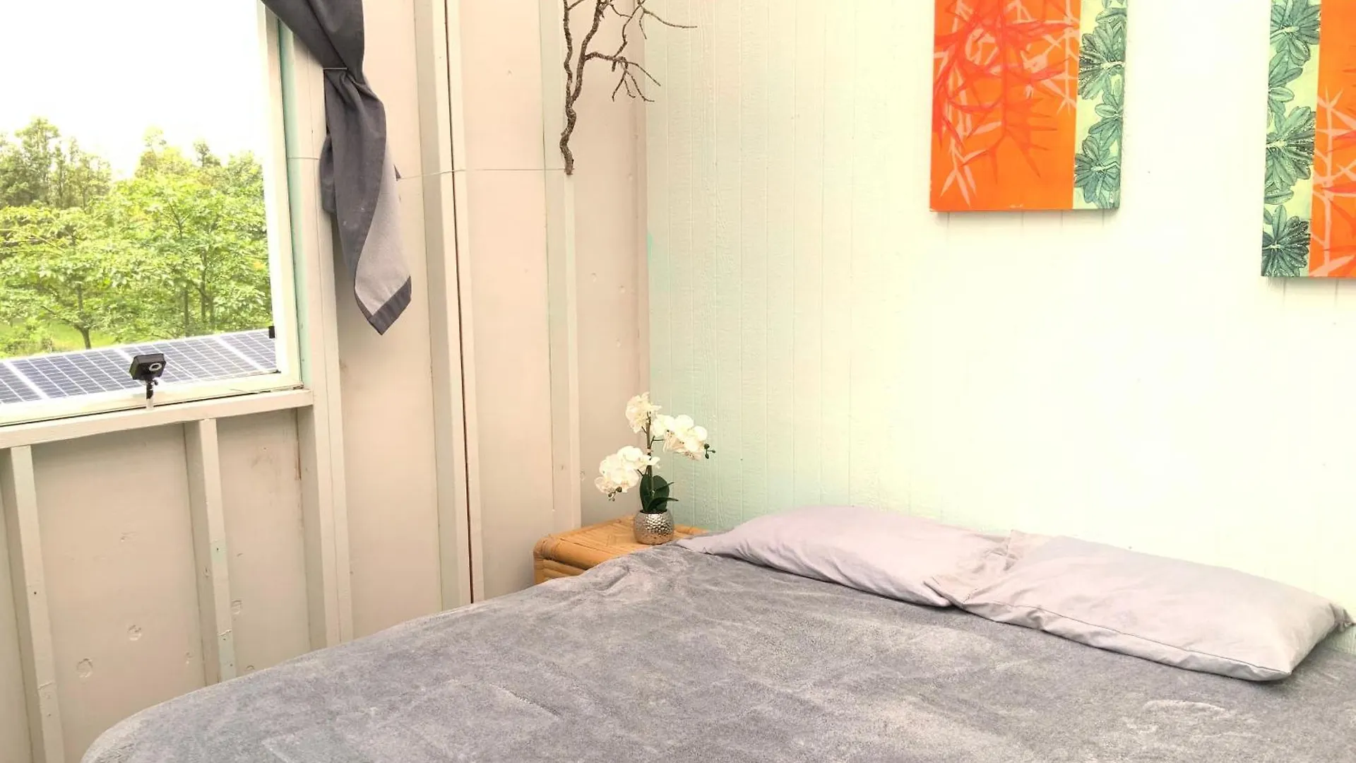 Simply Convenient Tropical Country Studio Mountain View