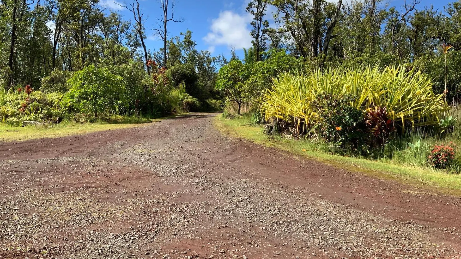 Simply Convenient Tropical Country Studio Mountain View